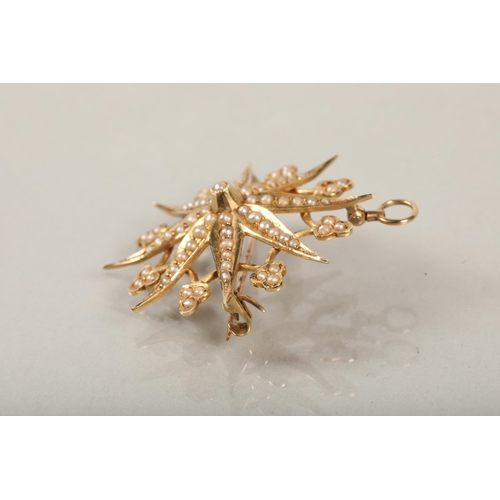 54 - 14 ct yellow gold start brooch with seed pearls, 6 grams