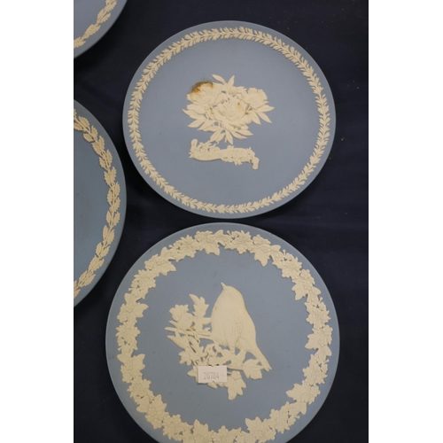 64 - Wedgwood Jasperware commemorative plates to include Christmas, Man on the Moon, etc.