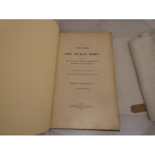 143 - QUAIN JONES & WILSON W. J. ERASMUS.  The Viscera of the Human Body ... in a Series of ... 