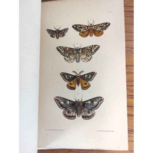 96 - MORRIS REV. F. O.  A Natural History of British Moths. 4 vols. Many hand col. eng. plates. Royal 8vo... 