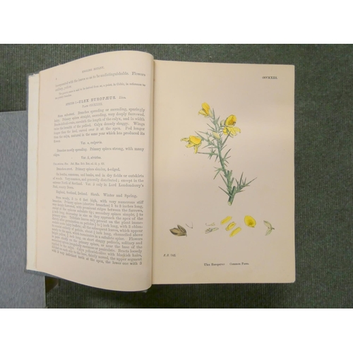 97 - BOSWELL SYME J. T. (Ed).  Sowerby's English Botany or Coloured Figures of British Plants. ... 