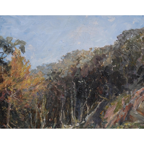 338 - Elaine Phillips (British)River and country landscapeSigned, oil on canvas, 33.5cm x 52cm.Label verso... 