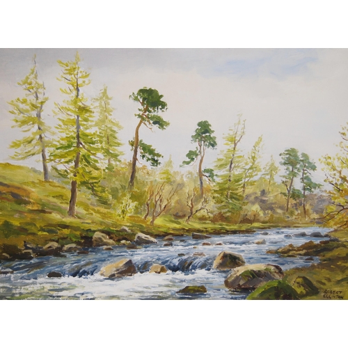 347 - Robert Egginton (English, b. 1943)River Dulnain by the Bridge, Inverness-shire Signed, oil on b... 