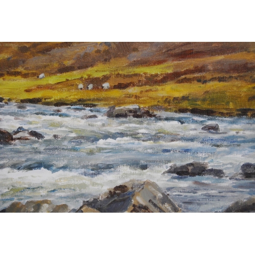 349 - Robert Egginton (English, b. 1943)River Etive, GlencoeSigned, oil on canvas, 49cm x 59.5cm.  AR... 