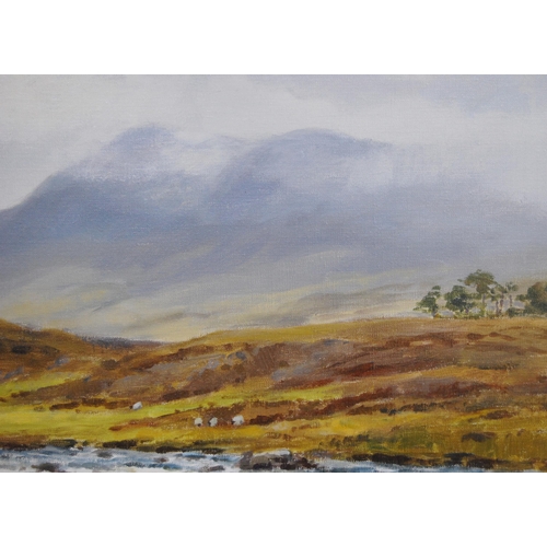 349 - Robert Egginton (English, b. 1943)River Etive, GlencoeSigned, oil on canvas, 49cm x 59.5cm.  AR... 