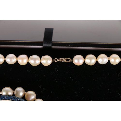 533 - Single strand cultured pearl necklace in Robert Anthony of Edinburgh retailers box, together with a ... 