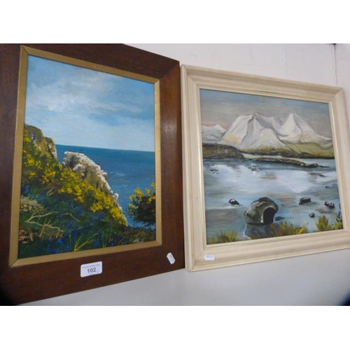 102 - Modern oil on board of a seascape, signed indistinctly, and another oil on board depicting a mountai... 