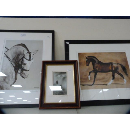 107 - Signed photograph of a horse, limited edition, by Alexandria Bannister, signed in pencil, 1/250, ano... 