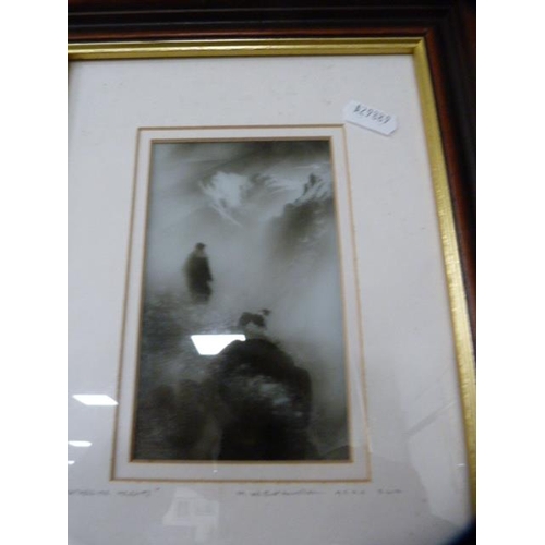 107 - Signed photograph of a horse, limited edition, by Alexandria Bannister, signed in pencil, 1/250, ano... 