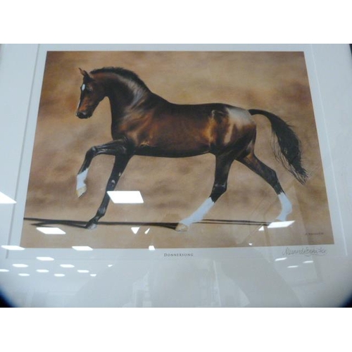 107 - Signed photograph of a horse, limited edition, by Alexandria Bannister, signed in pencil, 1/250, ano... 