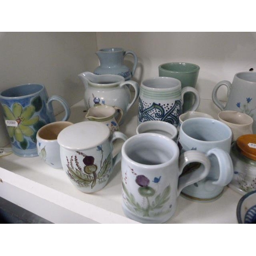 109 - Buchan stoneware to include mugs, jugs, dishes and tankards (one shelf).