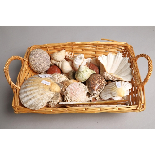 479 - Quantity of sea shells in wicker basket