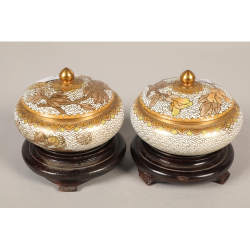 162 - Pair of Cloisonne jars on stands,, 9cm diameter (2)