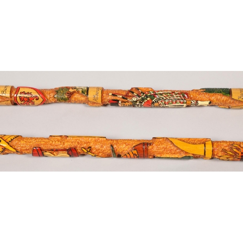 202 - Two Swiss carved walking sticks