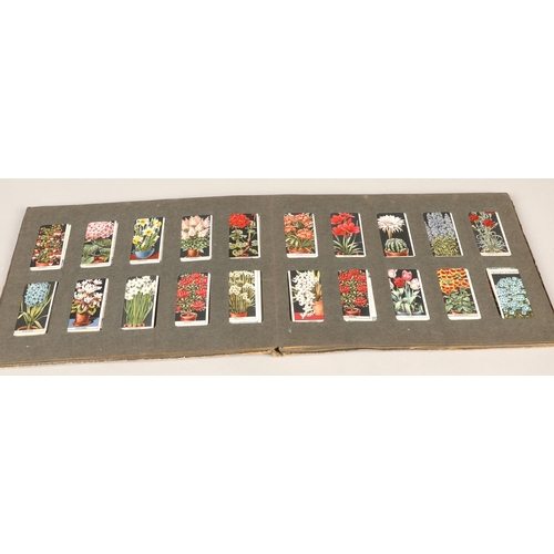 209 - Collection Wills cigarette cards to include ships badges, flower culture in pots in an album