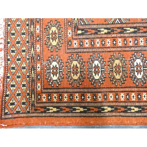 431 - Tekke Bokhara hand knotted rug with thirteen rows of two geometric motifs on a rust ground, 164cm x ... 