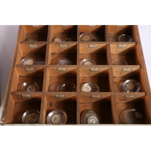 275 - Early 20th century painted specimen chest of drawers containing glass watch faces.