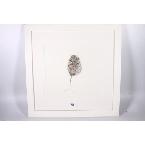 435 - ROWAN HALL, study of a mouse, print, 27cm x 27cm, frame 48cm x 48cm.