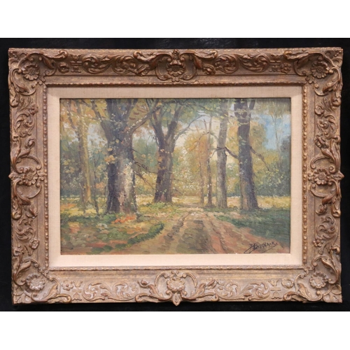 412 - BIESHAAR, woods and town scenes, three oil paintings on canvas, signed, 20cm x 30cm, frames 31cm x 4... 