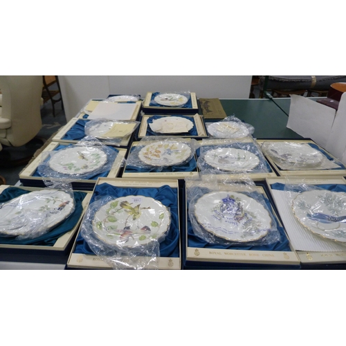 251 - Set of twelve Royal Worcester 'The Birds of Dorothy Doughty' limited edition porcelain plates, in a ... 