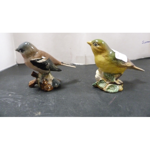 260 - Two small Beswick bird figures of a chaffinch and greenfinch, and a porcelain figure of a cat by Roy... 