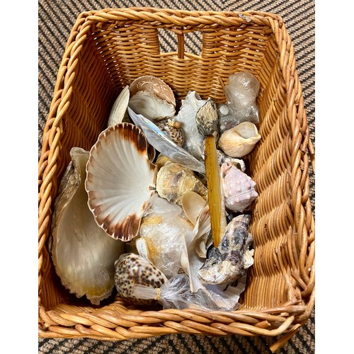 338 - Basket of assorted shells