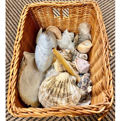 338 - Basket of assorted shells