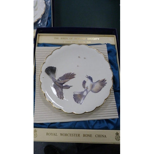 251 - Set of twelve Royal Worcester 'The Birds of Dorothy Doughty' limited edition porcelain plates, in a ... 