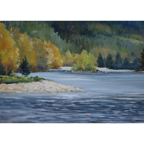 344 - Shirley Carnt (British)Polslake, Abergeldie Beat, River DeeSigned, oil on board, 28.5cm x 39cm.Label... 