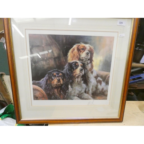 225 - Limited edition no23 of 850 Mark Cawston pencil, signed print of Spaniels.