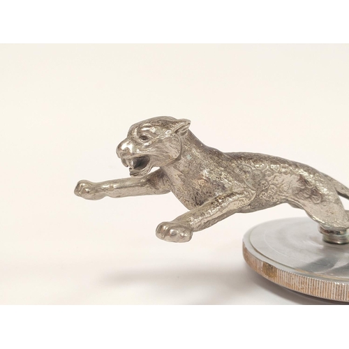 394 - Jaguar car mascot circa 1920s modelled as a leaping white metal jaguar, on a chrome patina disc moun... 