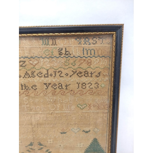 300 - Regency needlepoint sampler with alphabet worked by Jane Gibron aged 12, Dated 1823, 29cm x 25cm.