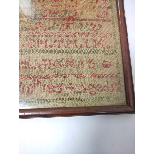 301 - William IV needlepoint sampler with alphabet dated 1834, 30.5cm x 29.5cm, with another Victorian sam... 