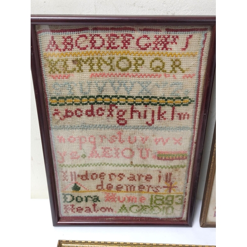 303 - Late Victorian needlepoint sampler with alphabet worked by Dora Hume aged 10, dated 1893, 30cm x 20.... 