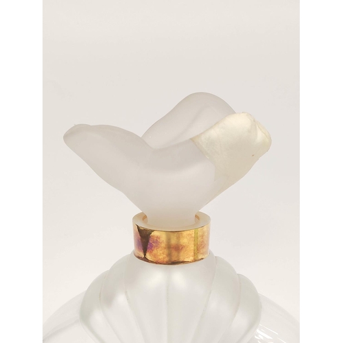 418 - Glass shop display perfume bottle of large size for Gilda, with shaped frosted glass stopper, 32cm h... 