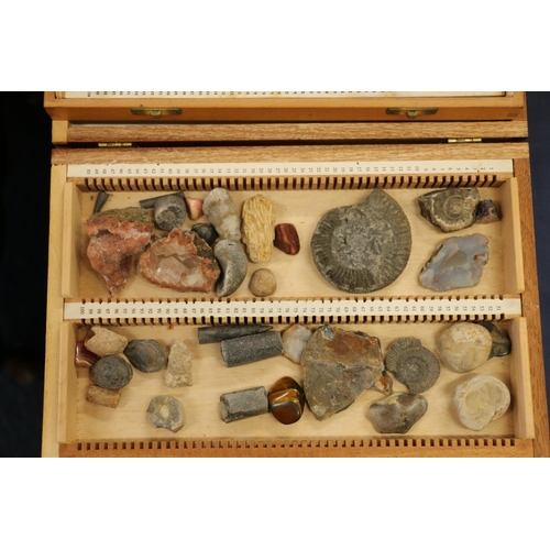 73 - Four small boxes containing fossils, minerals and geological specimens.