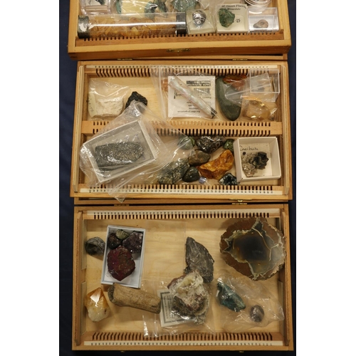 79 - Four boxes containing fossils, minerals and geological specimens.