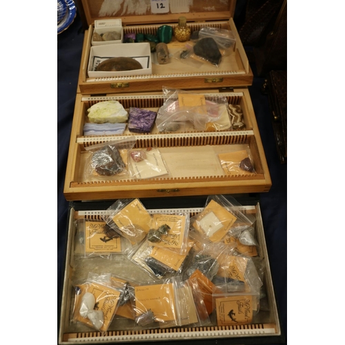 90 - Three boxes containing fossils, minerals and geological specimens.