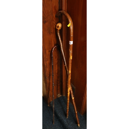 328 - Three walking sticks.