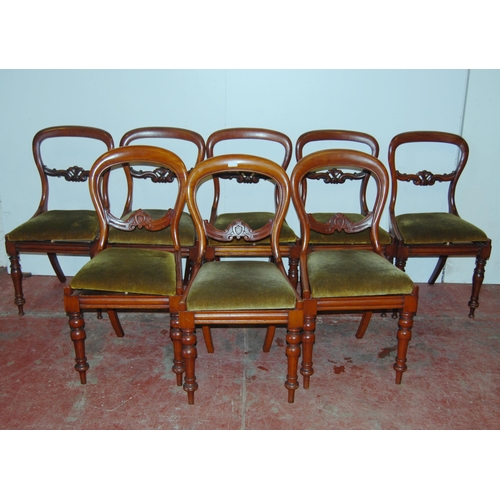 442 - Five matching Victorian mahogany balloon-back dining chairs, each with scroll stretcher and slip-in ... 