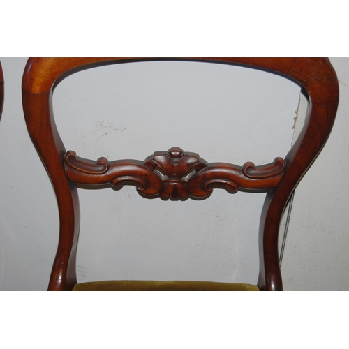 442 - Five matching Victorian mahogany balloon-back dining chairs, each with scroll stretcher and slip-in ... 