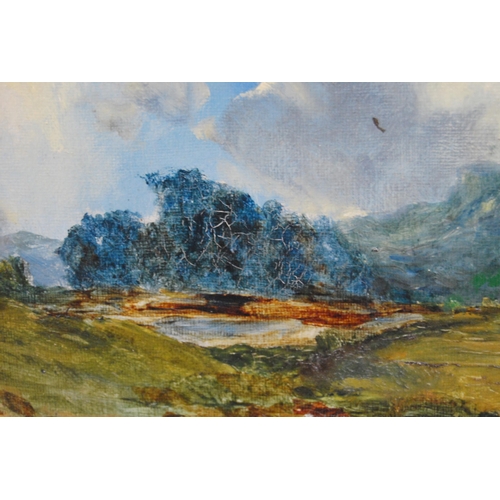 381 - 19th Century British SchoolLandscape sceneUnsigned, oil on canvas, 18.5cm x 23.5cm.Label verso for B... 