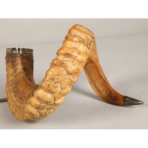 181 - 19th Century silver plated Rams horn table snuff mull with tools, 28 cm, with plaque inscribed' From... 