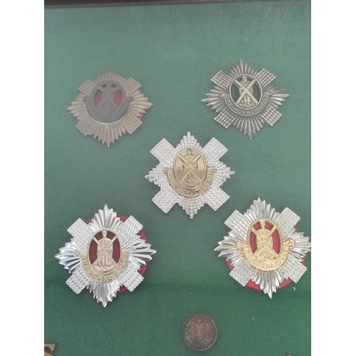 360 - Framed collection of British military cap badges mostly Victorian and WW1 and relating to Scottish r... 