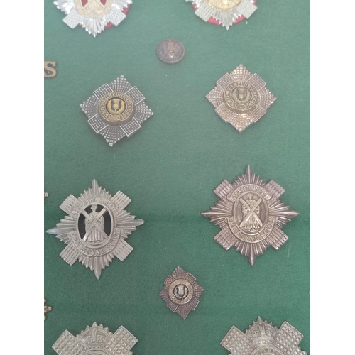 360 - Framed collection of British military cap badges mostly Victorian and WW1 and relating to Scottish r... 