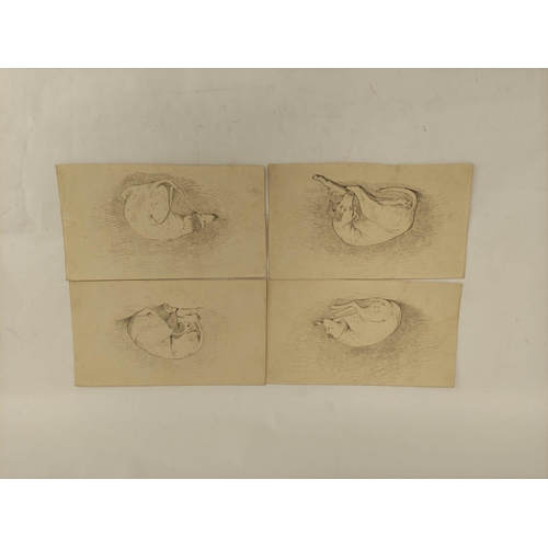 238 - Attr. to William James Blacklock.Four studies of a sleeping hound.Pencil.Each 12cm x 22cm.... 