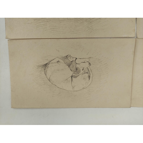 238 - Attr. to William James Blacklock.Four studies of a sleeping hound.Pencil.Each 12cm x 22cm.... 