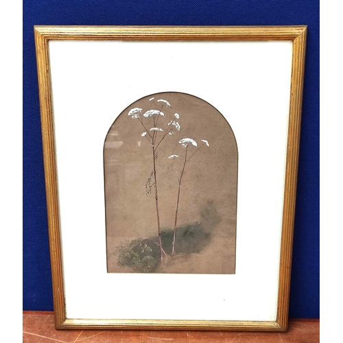 256 - Artist Unknown, Late 19th Century.Flowering stems.Watercolour heightened with white.30cm x 20cm, arc... 