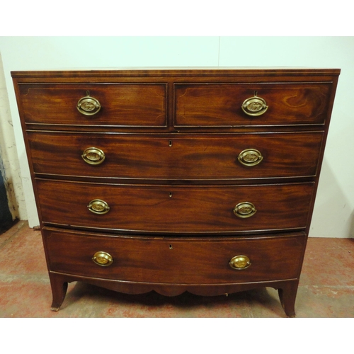 459 - Georgian mahogany bowfront chest of two short and three long graduated drawers, with box stringing, ... 