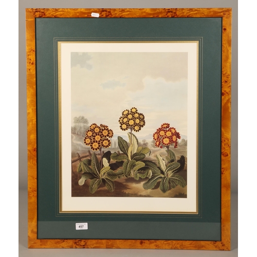 457 - Framed floral print, 76.5cm x 64.5cm